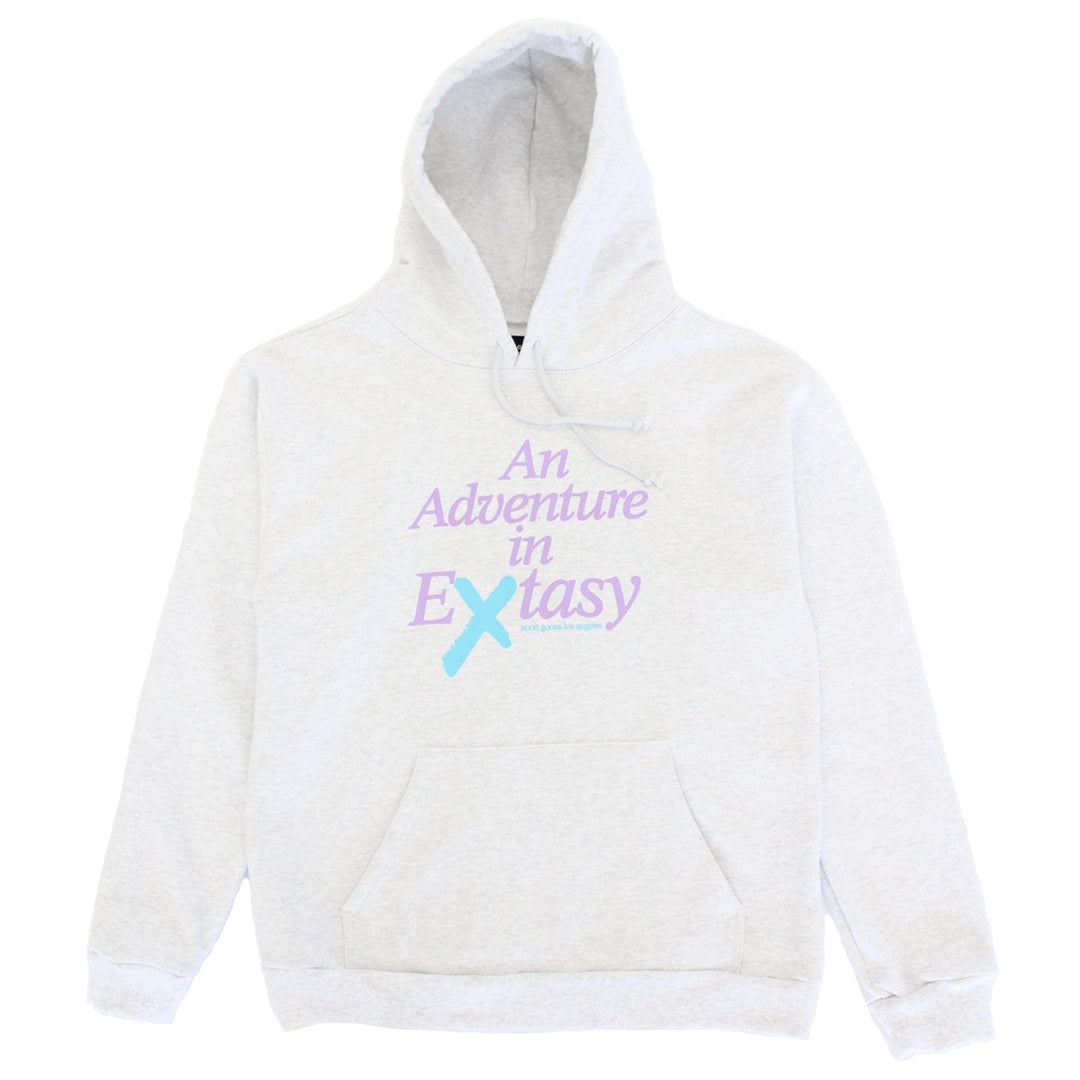 Extasy Hoodie - Heather Grey