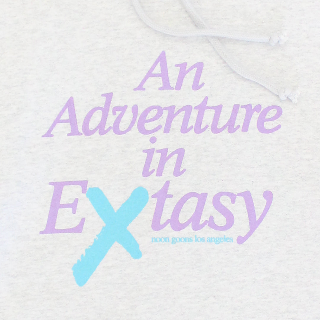 Extasy Hoodie - Heather Grey